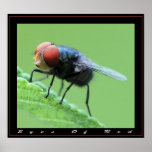 Eyes Of Red Poster