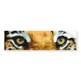 Eyes of Tiger Bumper Sticker