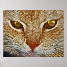 Eyes on You Print