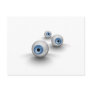 Eyes Post Card