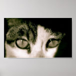 Eyes Poster