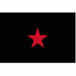 Ezln, Colombia flag Photo Sculptures