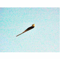 F117a Stealth Bomber Acrylic Cut Out