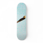 F117a Stealth Bomber Skateboard Decks