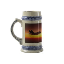 F-14 TOMCAT IN AFTERBURNER MUGS