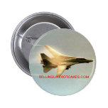 F-14 TOMCAT WITH VAPOR PINS