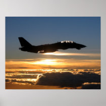 F-14D Tomcat
