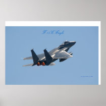 F-15C Eagle