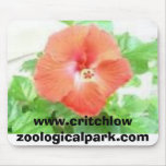 f-1, www.critchlowzoologicalpark.com mouse pads
