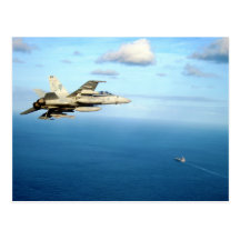 F/A-18A Hornet Strike Fighter Squadron 87 Post Card