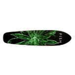 F I S H pro model skate board deck skateboards