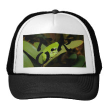 F.R.O.G. Hat