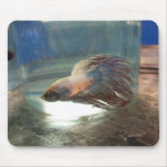 Fable the Fish mousepads