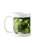 Fabulous Hosta Mug