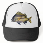 Fabulous Realistic Fish Painting hats