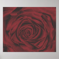 Fabulous Red Rose Canvas Print