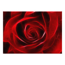 Fabulous Red Rose Personalized Announcements