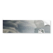Face Bumper Sticker