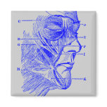 Face Diagram magnets