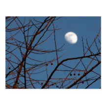 Face in the Moon Post Cards