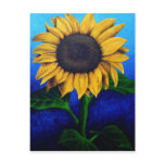 Face the Sun Postcard