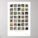 Faces of Agility - Cocker Spaniel Edition posters