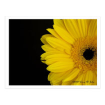 Facing Simpleness Postcard postcards
