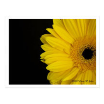 Facing Simpleness Postcard
