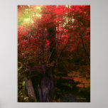 Fade Into Fall Posters