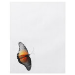 Faded Butterfly flyers