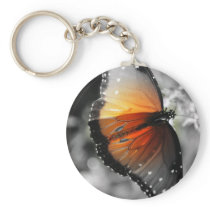 Faded Butterfly