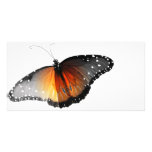 Faded Butterfly photo cards