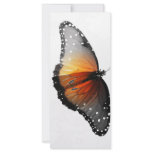 Faded Butterfly rack cards