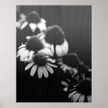 Faded Memories Print