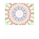 Faded Pastel Tie Dye Flip t-shirts