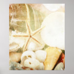 Faded Starfish Print