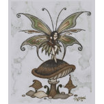 Faery Whimsee t-shirts