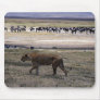 Failed attack mousepads