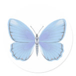 Faint Blue stickers
