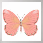 Faint Pink Poster