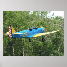 Fairchild PT-19 Cornell. Posters