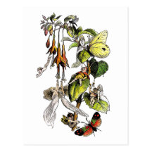 Fairie (Faerie) Postcard by Richard Doyle
