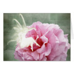 Fairy and Rose Greeting Cards