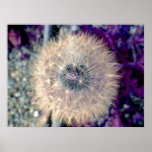 Fairy Ball Poster