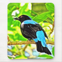 Fairy Bluebird Photo Painting