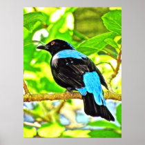 Fairy Bluebird Photo Painting