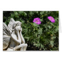 Fairy cards