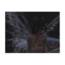 Fairy Dreams Post Card