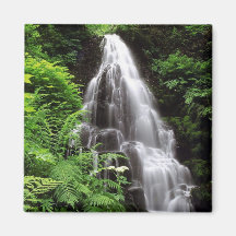 Fairy Falls Fridge Magnets