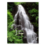 Fairy Falls Post Cards